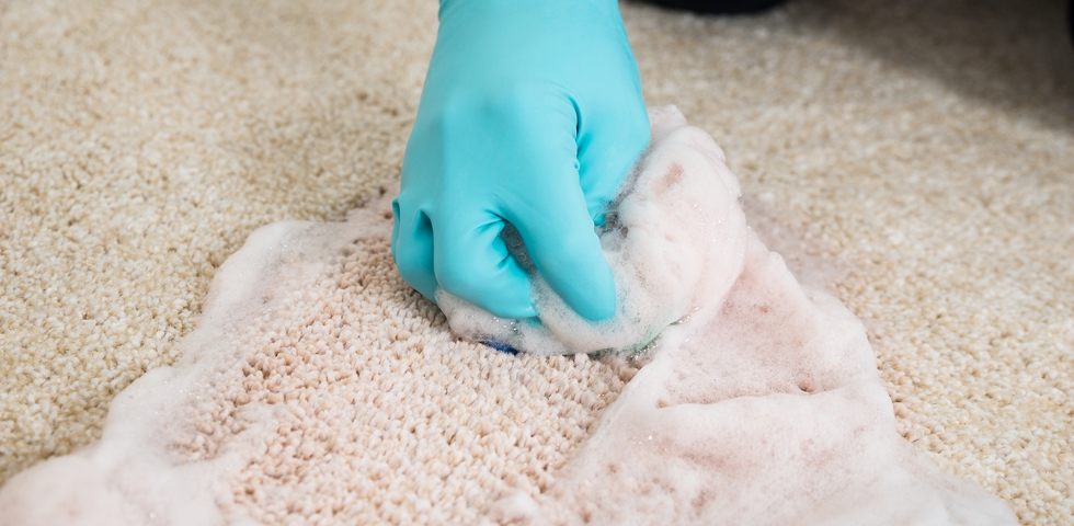 Scrubbing the carpet spots doesn't work effectively.