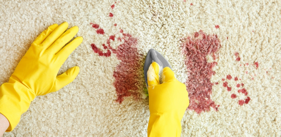 2. How to Remove Blood Stains