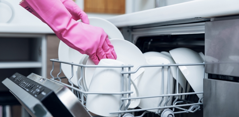 Clean the dishwasher