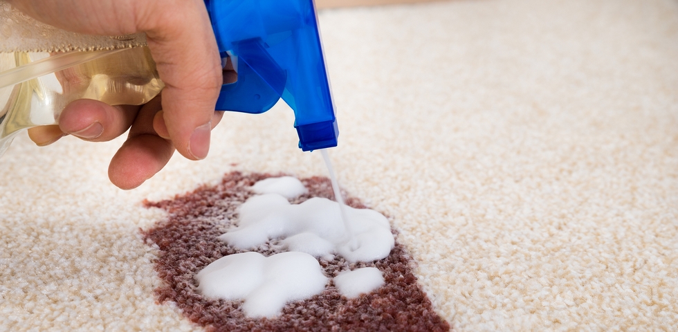Always clean a carpet stain right away.