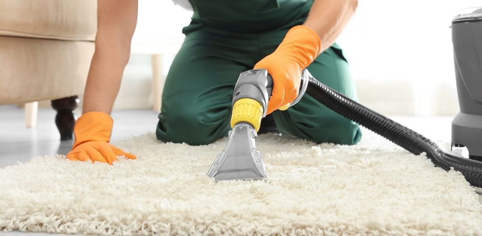 Hire a professional carpet cleaning company.